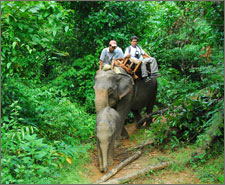 BOB - Bay of Bengal Resorts