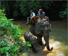 BOB - Bay of Bengal Resorts