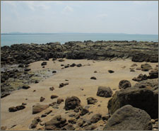 BOB - Bay of Bengal Resorts