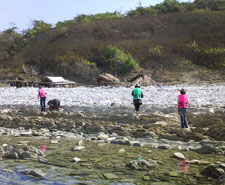 BOB - Bay of Bengal Resorts